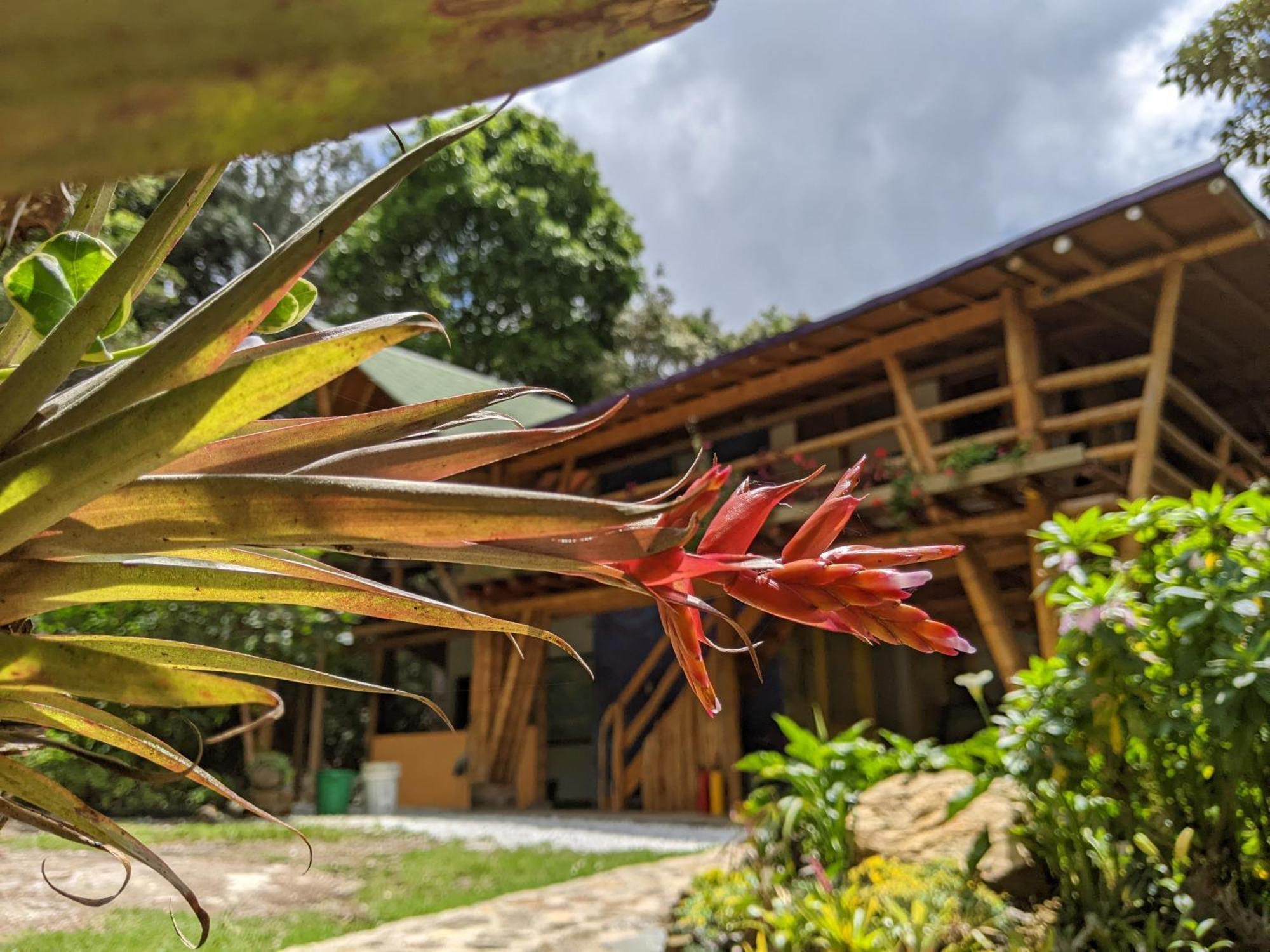 Hotel Refugio En El Bosque Medellín Exterior foto